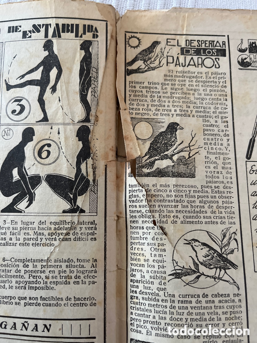 Tebeos: Almanaque TBO 1933. Opisso - Foto 9