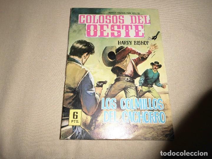 Tebeos: COLOSOS DEL OESTE N&ordm; 82 EDITORIAL FERMA - Foto 1