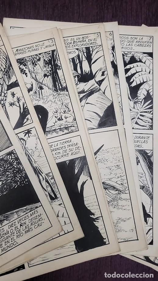 Tebeos: 10 PAGINAS ORIGINALES DEL COMIC, EL AMAZONAS RIO SALVAJE E IGNORADO 1959 - Foto 3