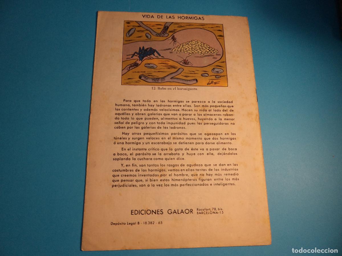 Tebeos: Napoleon. N&ordm; 5. Galaor. - Foto 2