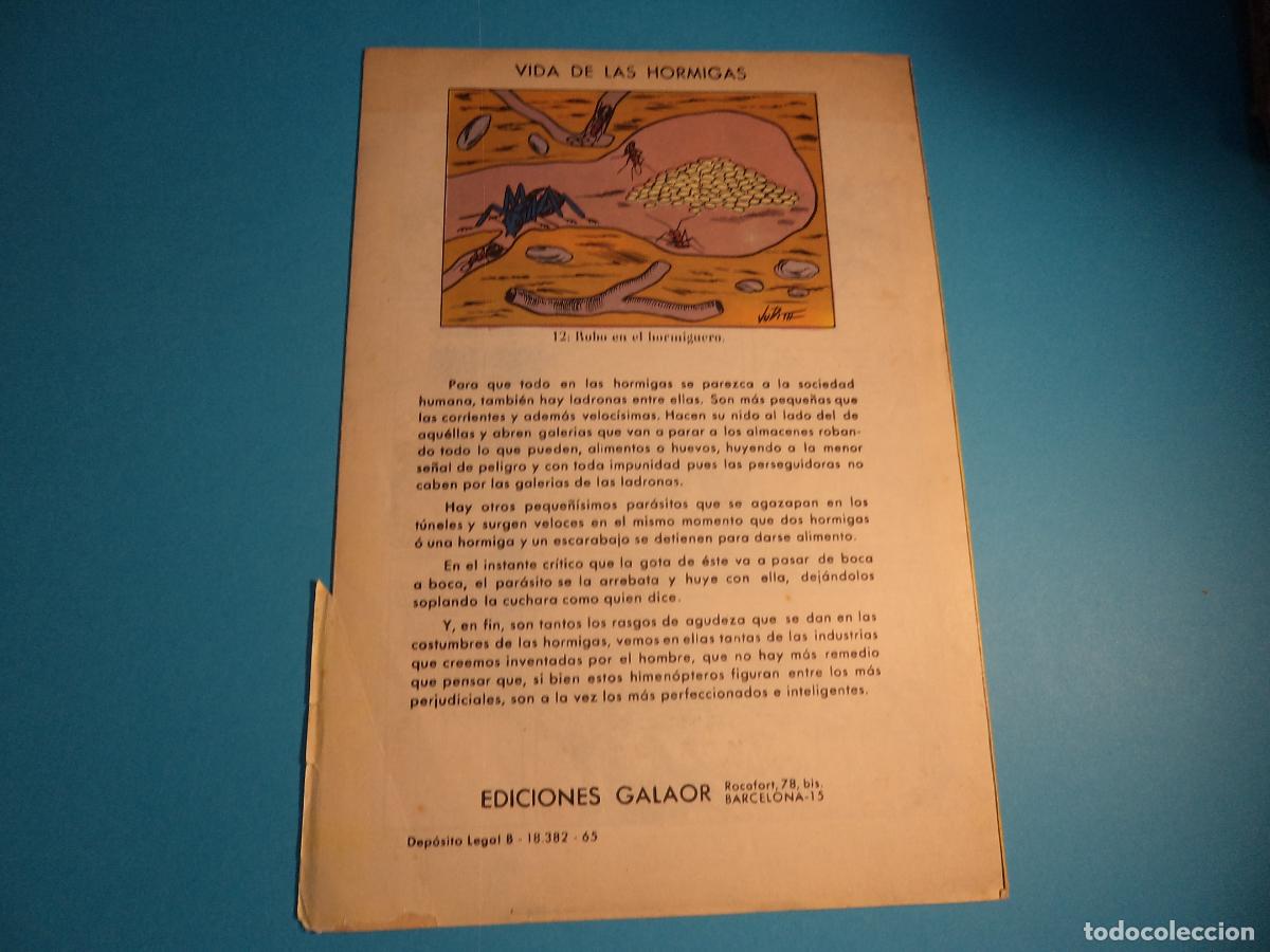 Tebeos: Napoleon. N&ordm; 5. Galaor. - Foto 2