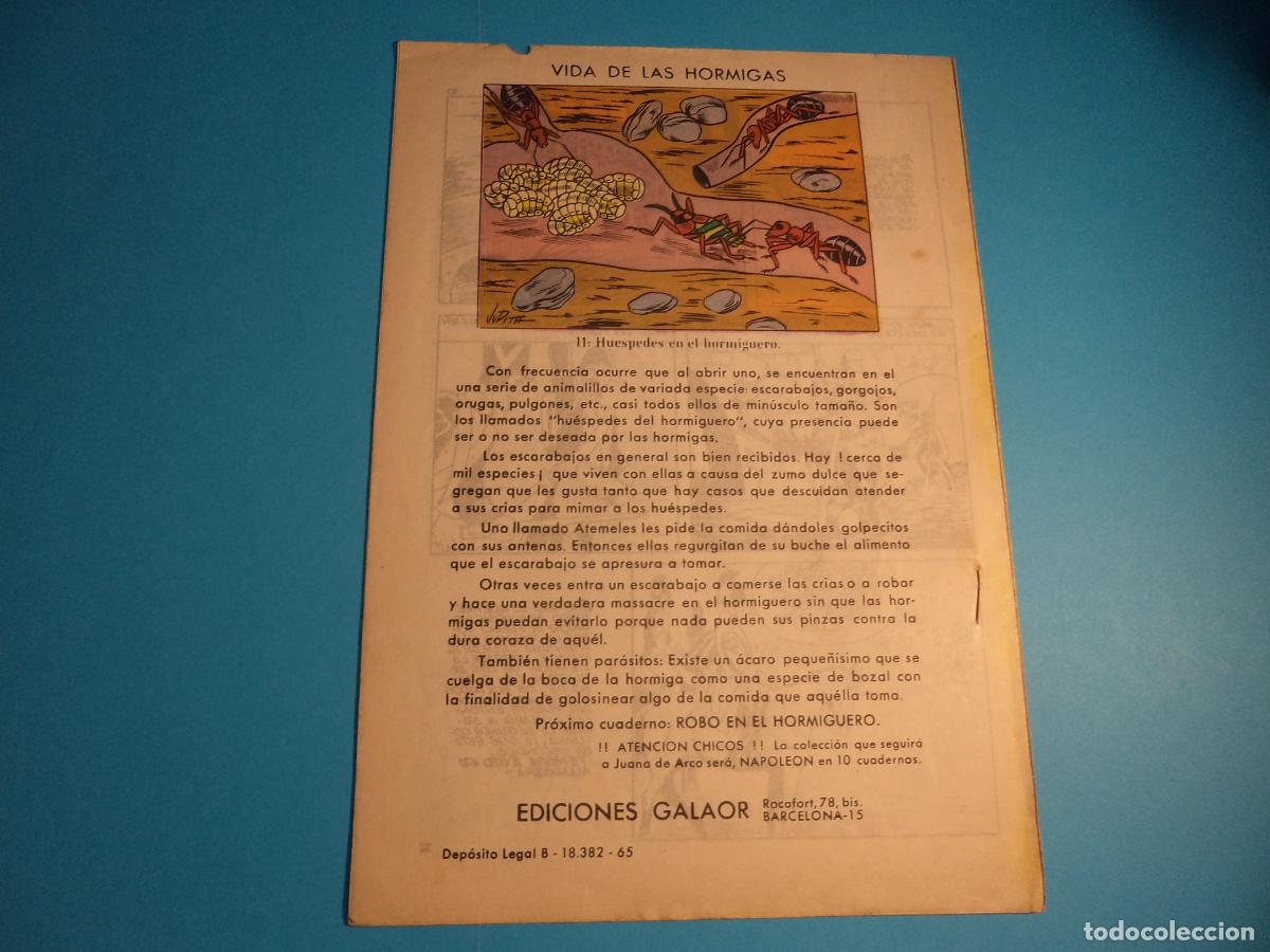 Tebeos: Napoleon. N&ordm; 4. Galaor. - Foto 2