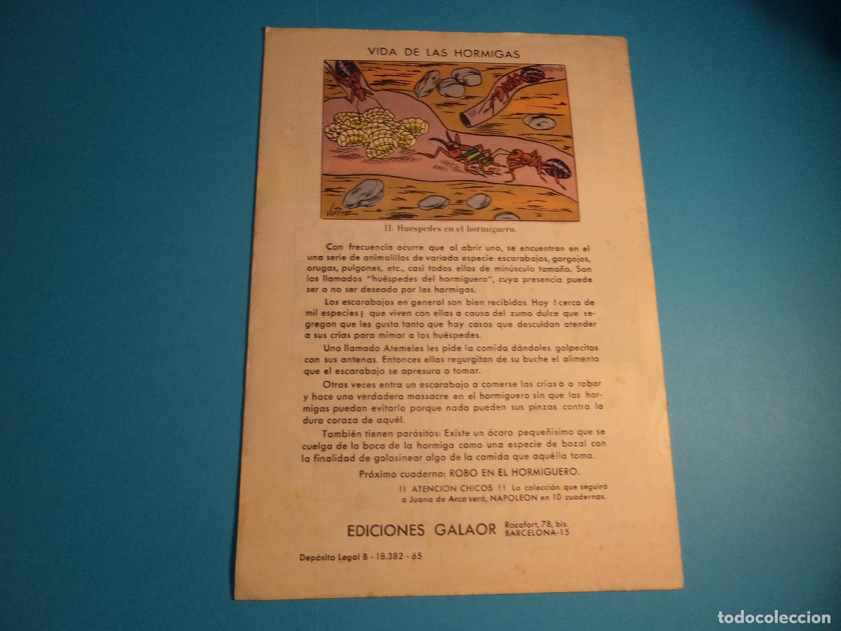 Tebeos: Napoleon. N&ordm; 4. Galaor. - Foto 2