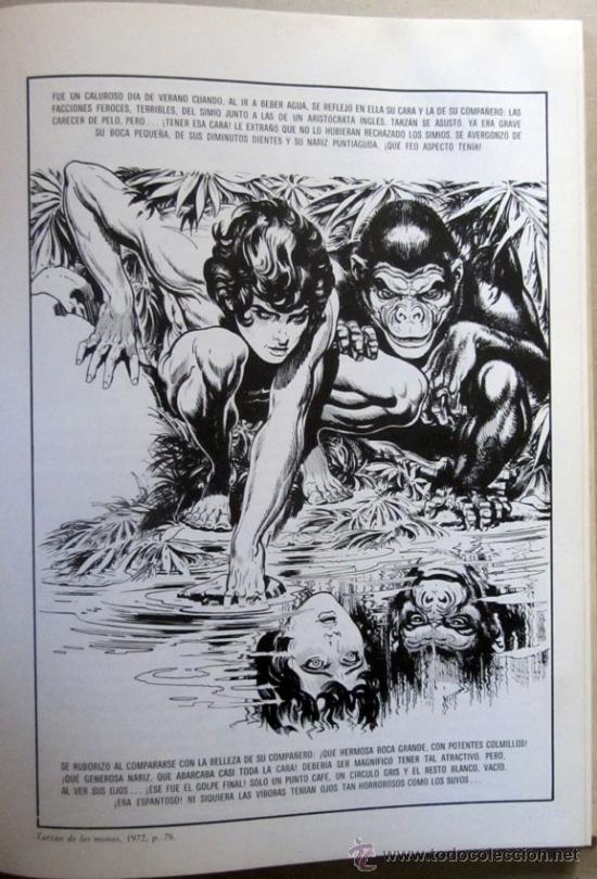 Tebeos: TARZAN DE LA SELVA + REGALO - Foto 4