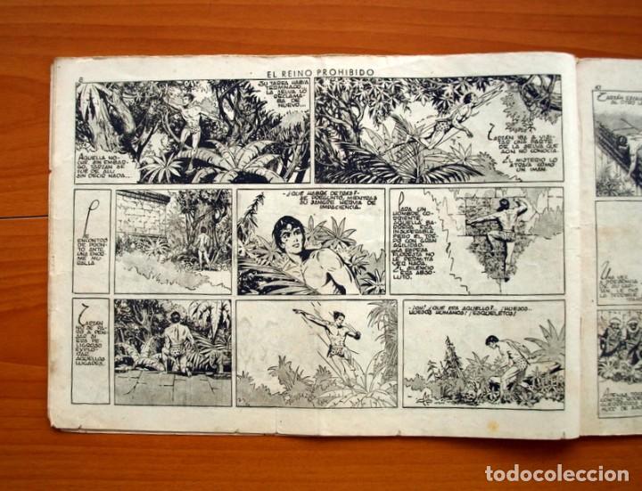 Tebeos: Tarzán - nº 12, El reino prohibido - Editorial Hispano Americana 1942 - Tamaño 215x31 - Foto 4 - 98107419