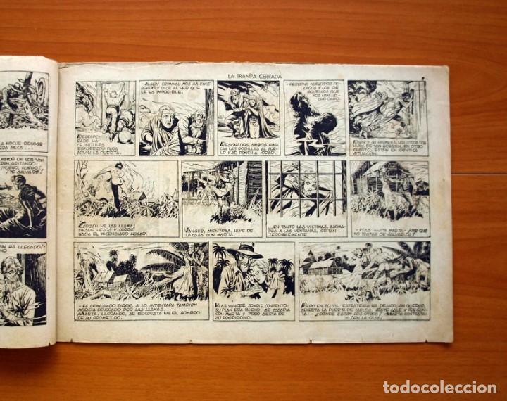 Tebeos: Tarzán - nº 19, La trampa cerrada - Editorial Hispano Americana 1942 - Tamaño 215x31 - Foto 3 - 98108399