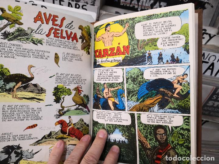 Tebeos: tomo encadernado tarzan - Foto 7