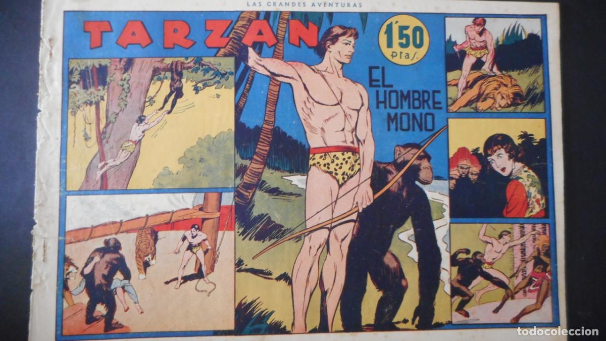 Tebeos: TARZAN. EL HOMBRE MONO / C-14 - Foto 1