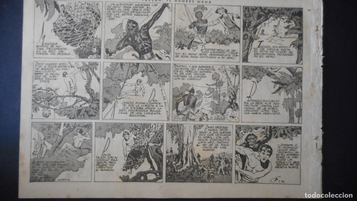 Tebeos: TARZAN. EL HOMBRE MONO / C-14 - Foto 2