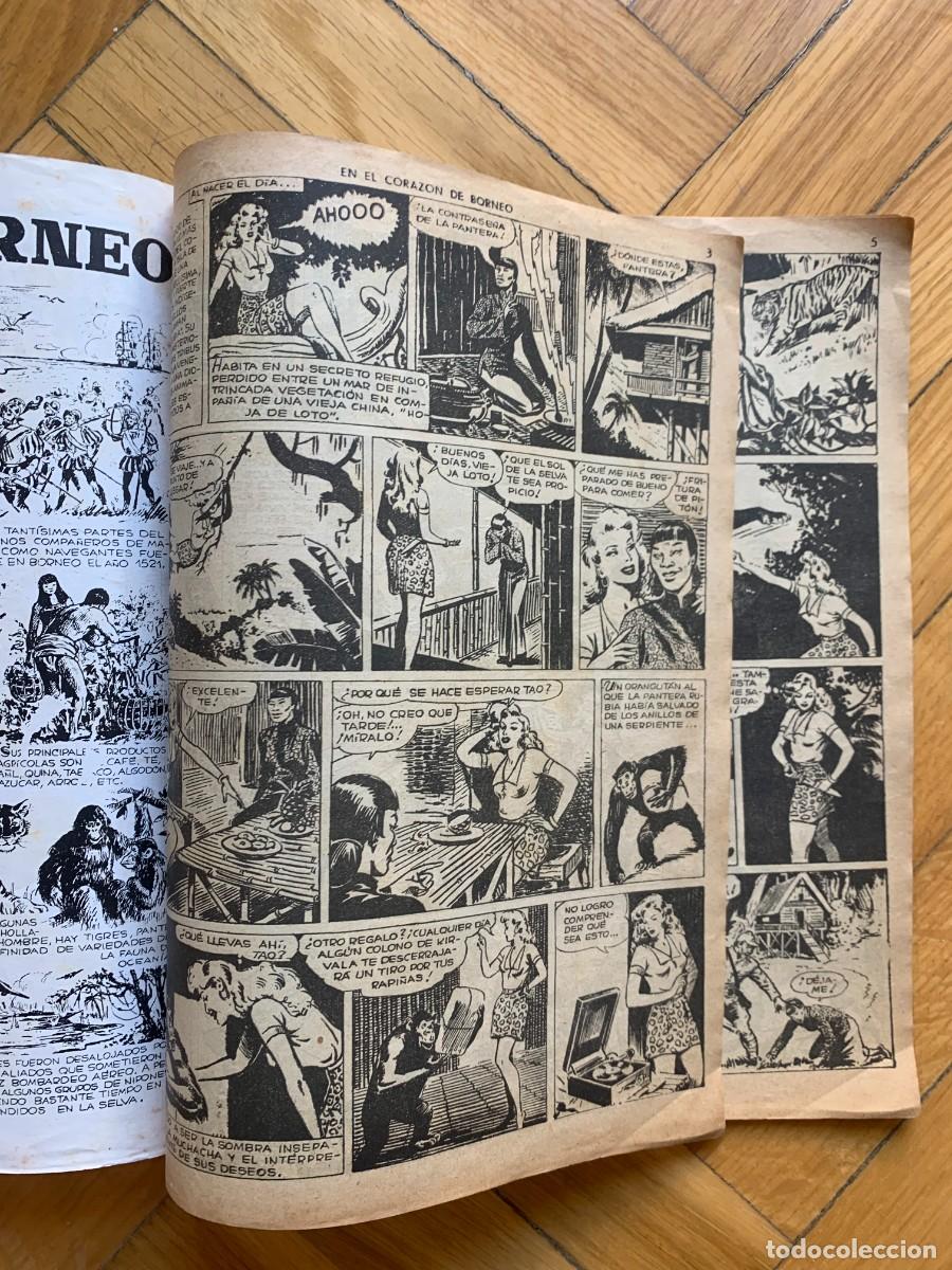 Tebeos: Pantera Rubia n&ordm; 1: En el Coraz&oacute;n de Borneo - Foto 3