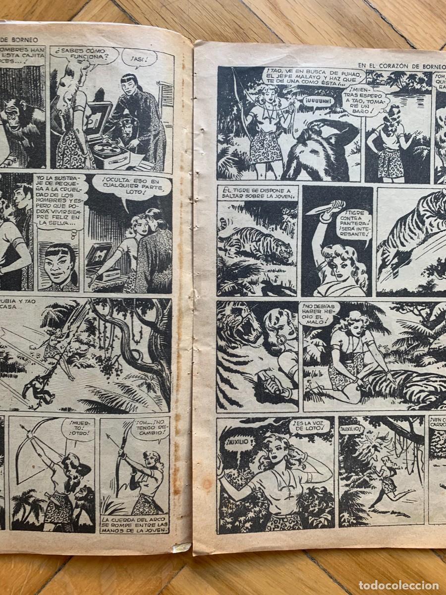 Tebeos: Pantera Rubia n&ordm; 1: En el Coraz&oacute;n de Borneo - Foto 4