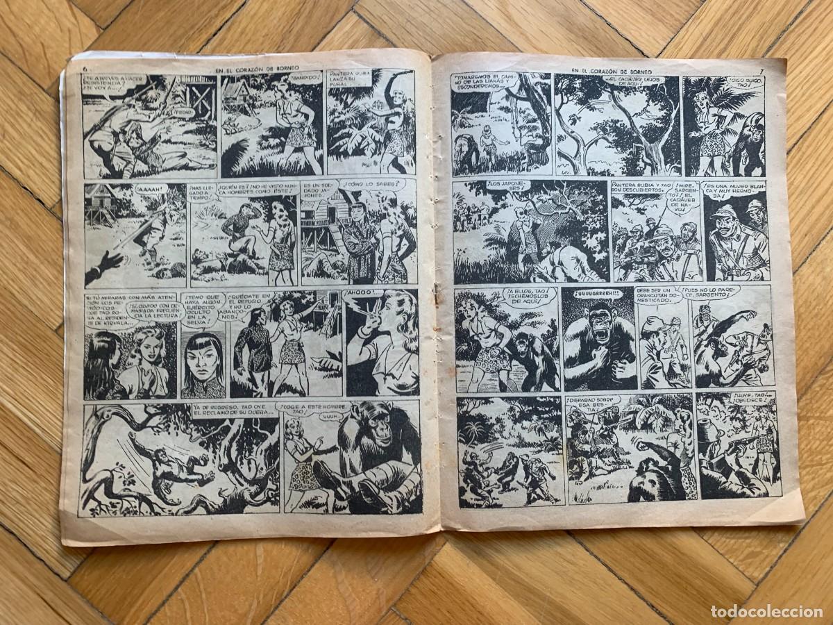 Tebeos: Pantera Rubia n&ordm; 1: En el Coraz&oacute;n de Borneo - Foto 6