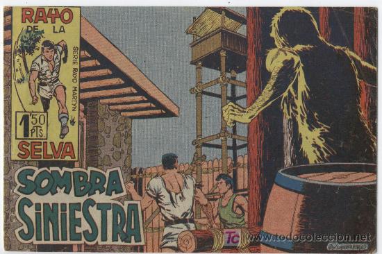 Tebeos: RAYO DE LA SELVA N&ordm; 13 BASTANTE BIEN - Foto 1