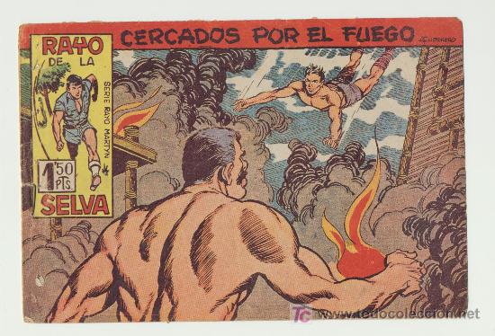 Tebeos: Rayo de la Selva n&ordm; 29 - Foto 1