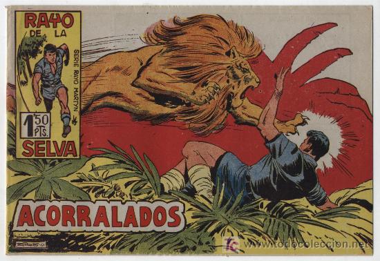 Tebeos: Rayo de la Selva n&ordm; 49. SIN ABRIR - Foto 1