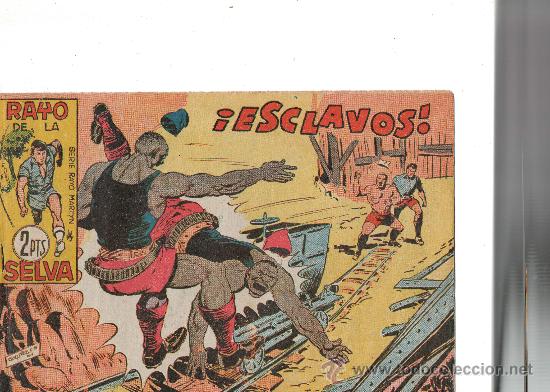 Tebeos: RAYO DE LA SELVA                N&ordm; 64       DE MAGA - Foto 1