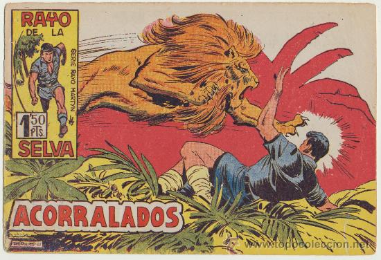 Tebeos: Rayo de la Selva n&ordm;  49. Maga 1960. - Foto 1