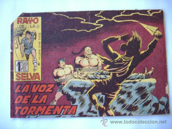 Tebeos: RAYO DE LA SELVA N&ordm;36 - Foto 1