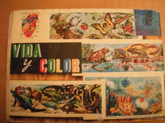 Tebeos: ALBUM MAGA. VIDA Y COLOR.1965. - Foto 14