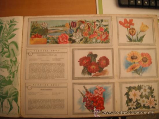 Tebeos: ALBUM MAGA. VIDA Y COLOR.1965. - Foto 11