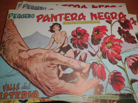 Tebeos: lote de 10 comics pantera negra 1 repetido ed. maga - Foto 1 - 34547382