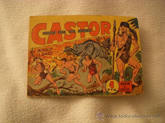 Tebeos: CASTOR N&ordm; 16, EDITORIAL MAGA - Foto 1