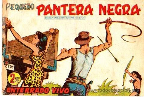 Tebeos: Peque&ntilde;o Pantera Negra (Maga) N&ordm; 251 - Foto 1