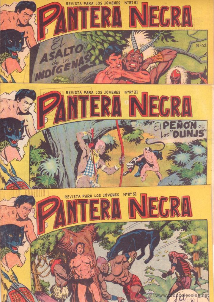 Tebeos: PANTERA NEGRA ORIGINAL EDITORIAL MAGA 1958 - 41 EJEMPLARES EN MUY BUEN ESTADO VER PORTADAS - Foto 12 - 48691437