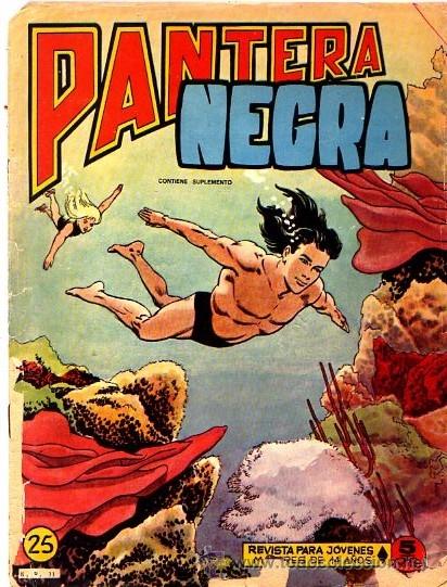 Tebeos: Pantera negra (Revista) (Maga)  N&ordm; 25 - Foto 1