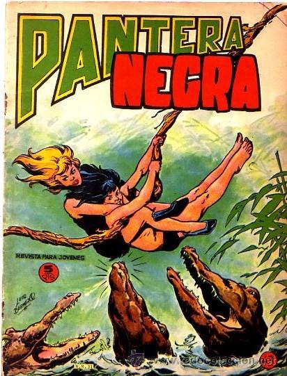 Tebeos: Pantera negra (Revista) (Maga)  N&ordm; 43 - Foto 1