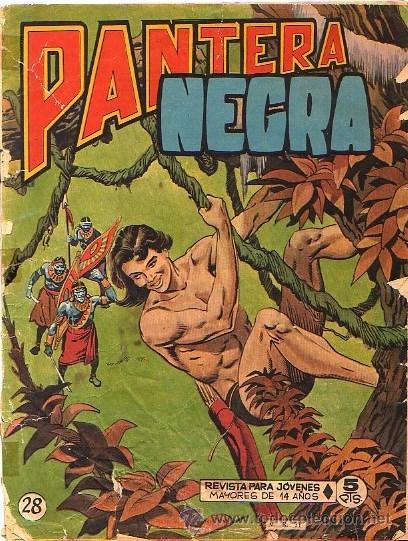 Tebeos: Pantera negra (Revista) (Maga)  N&ordm; 28 - Foto 1