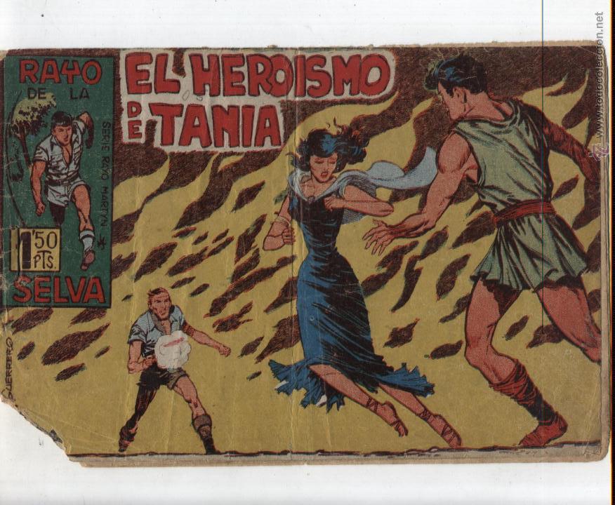 Tebeos: Rayo de la Selva n&ordm;  8. - Foto 1