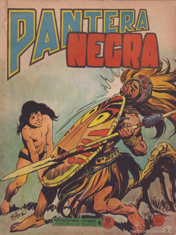 Tebeos: COMIC COLECCION PANTERA NEGRA REVISTA N&ordm; 36 - Foto 1