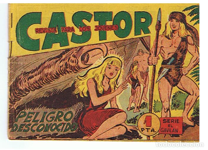Tebeos: Castor n&ordm; 11  Serie El gavilan - Original - Foto 1