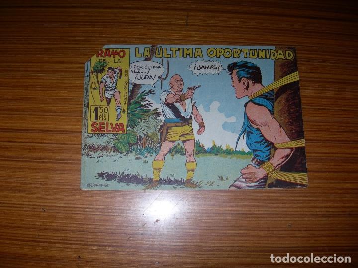 Tebeos: RAYO DE LA SELVA   N&ordm; 14  EDITA MAGA - Foto 1