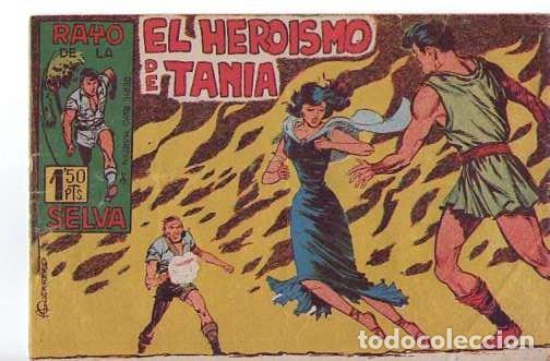 Tebeos: Rayo de la Selva (Maga)  N&ordm; 8 - Foto 1