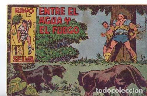 Tebeos: Rayo de la Selva (Maga)  N&ordm; 15 - Foto 1