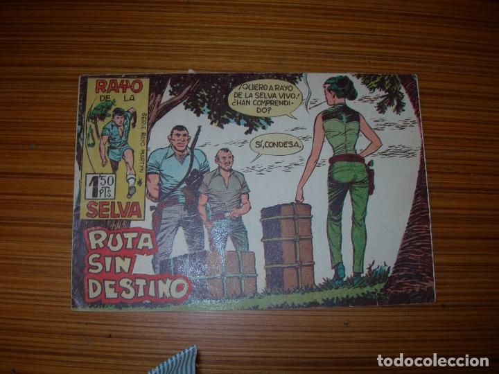 Tebeos: RAYO DE LA SELVA  N&ordm; 24 EDITA MAGA - Foto 1