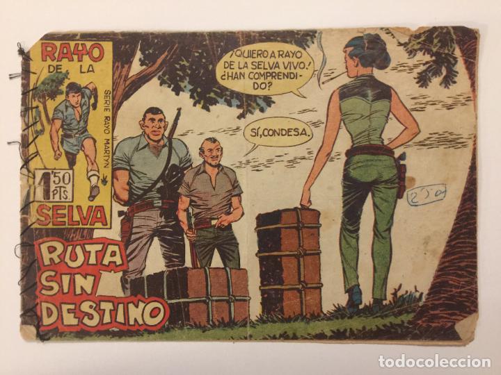 Tebeos: TEBEO RAYO DE LA SELVA N&ordm; 24. - Foto 1