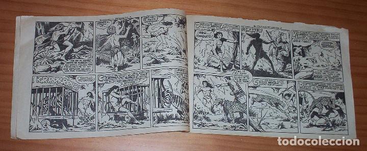 Tebeos: ORIGINAL - BENGALA - N&Uacute;MERO 16: COLMILLO TORCIDO - Foto 3