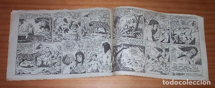 Tebeos: ORIGINAL - BENGALA - N&Uacute;MERO 16: COLMILLO TORCIDO - Foto 6