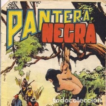 Tebeos: Pantera Negra n&ordm; 41 - Foto 1