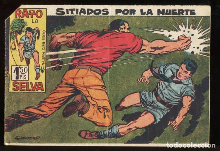 Tebeos: RAYO DE LA SELVA - MAGA N&ordm; 25 - Foto 1