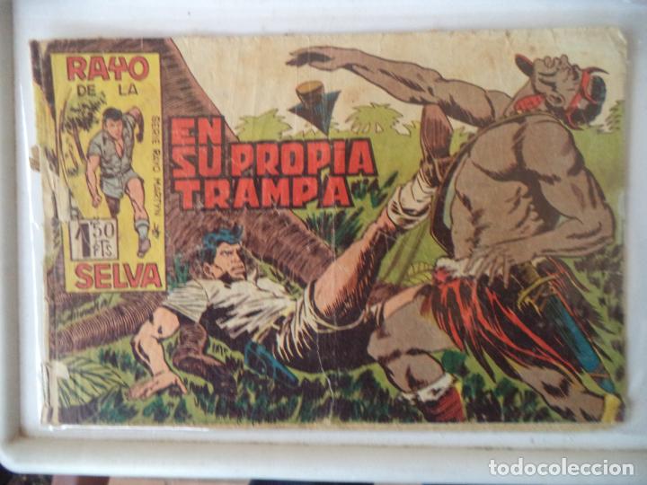Tebeos: RAYO DE LA SELVA  N&ordm;43 MAGA ORIGINAL - Foto 1