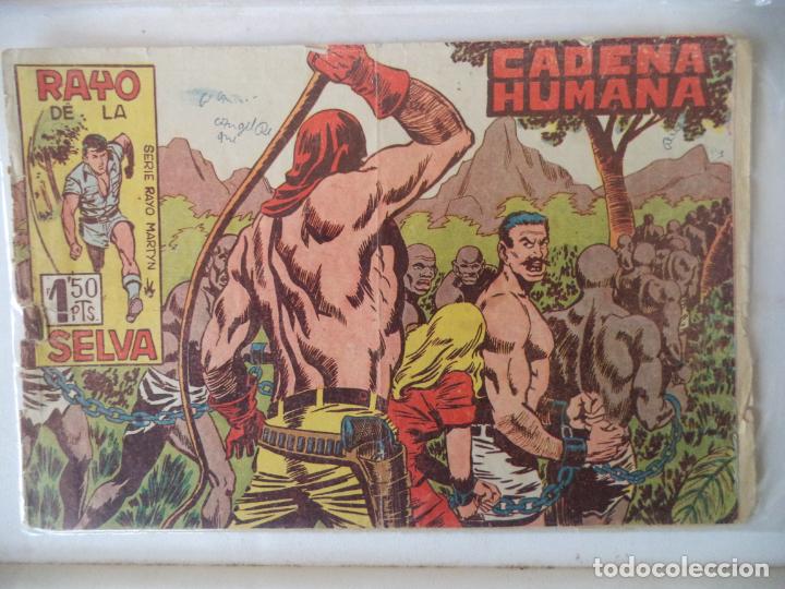 Tebeos: RAYO DE LA SELVA N&ordm; 42 MAGA ORIGINAL - Foto 1