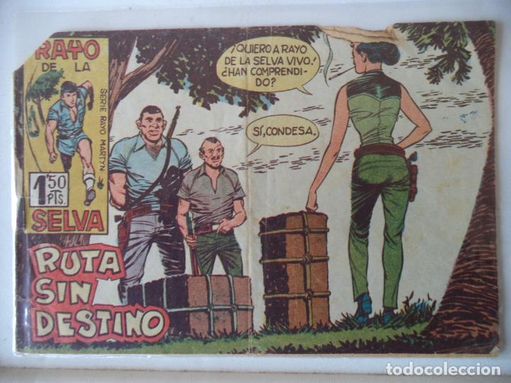 Tebeos: RAYO DE LA SELVA  N&ordm; 24 MAGA ORIGINAL - Foto 1
