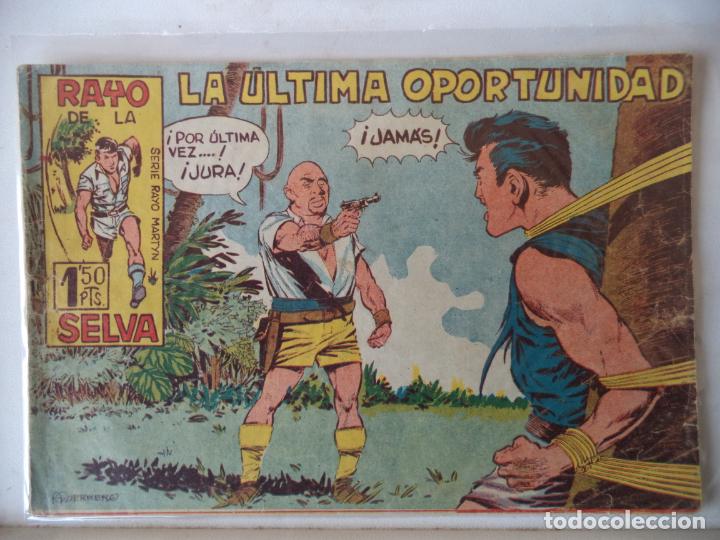 Tebeos: RAYO DE LA SELVA N&ordm; 14 MAGA ORIGINAL - Foto 1