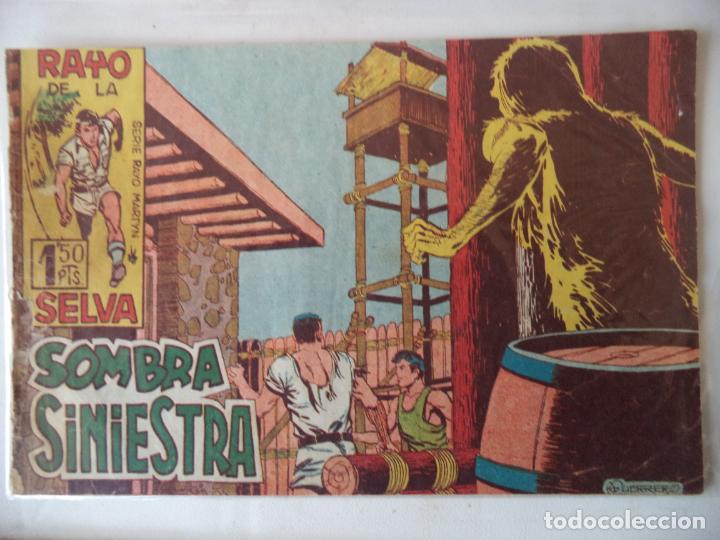 Tebeos: RAYO DE LA SELVA N&ordm;13 MAGA ORIGINAL - Foto 1