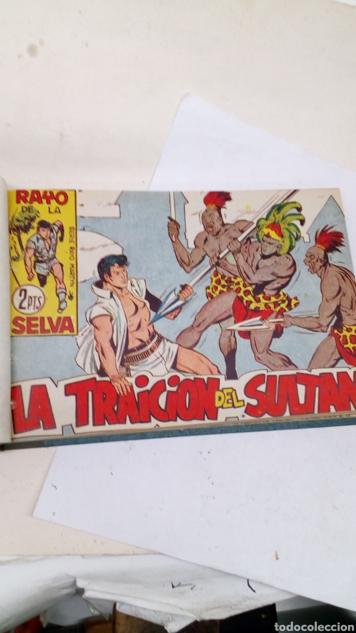 Tebeos: Comic encuadernado Rayo de la Selva Rayo Martyn editorial Maga - Foto 2