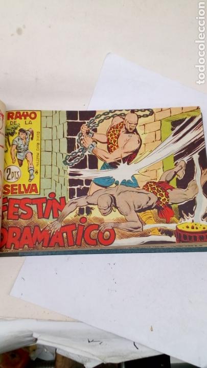 Tebeos: Comic encuadernado Rayo de la Selva Rayo Martyn editorial Maga - Foto 1